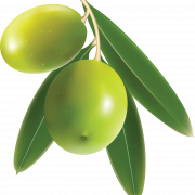 Olive PNG -afbeeldingsbestand