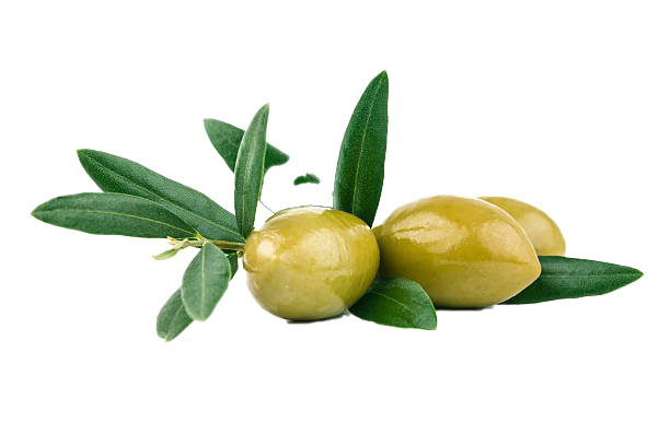 Olive PNG -afbeelding