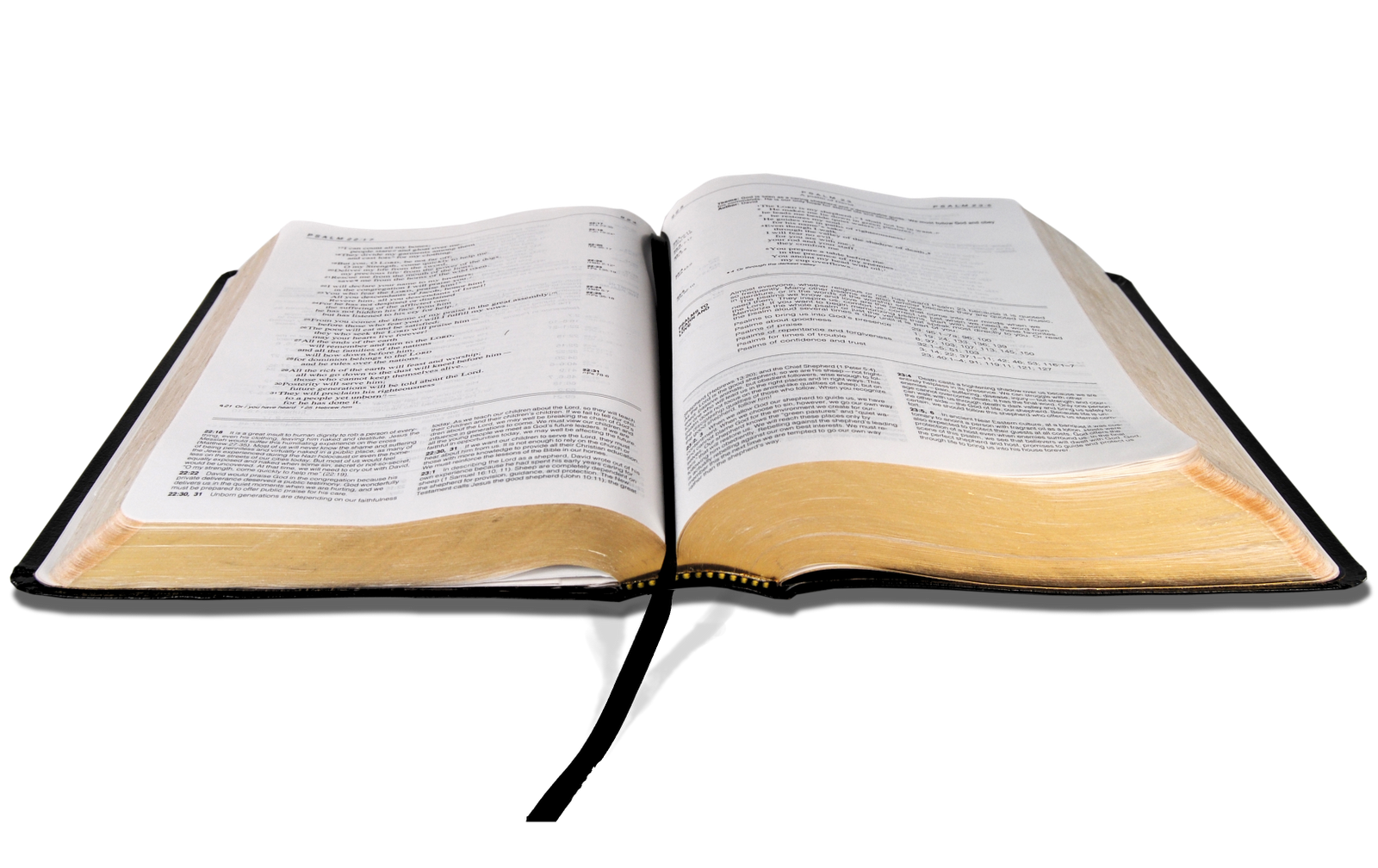 Open Bible PNG Image