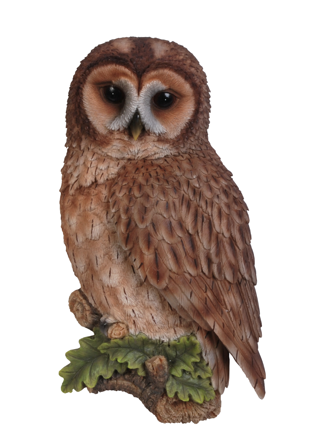 Owl PNG Photo