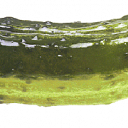 Pickle PNG