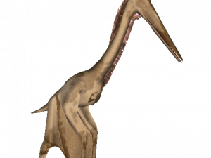 Pterosaurs PNG