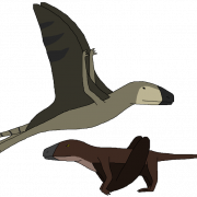 Download de arquivo png pterossauros grátis