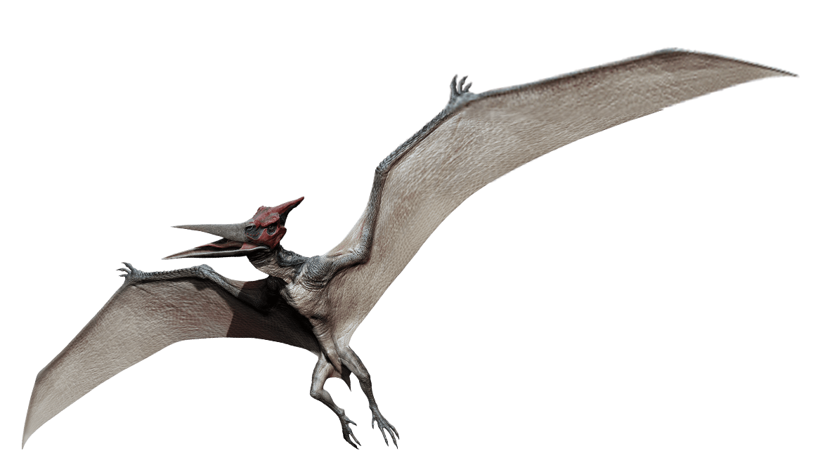 Pterosaurs PNG High Quality Image