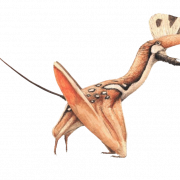 Imagem png de pterossauros
