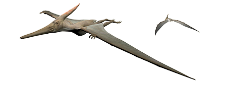 Pterosaurier -PNG -Bilddatei