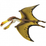 Pterossauros png imagem hd