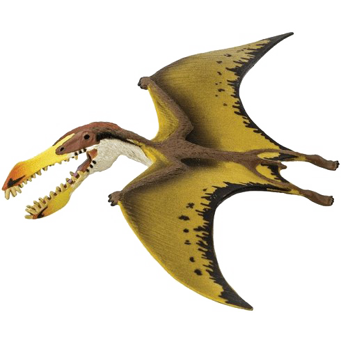 Pterosaurs PNG Image HD