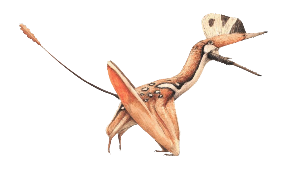 Pterosaurs PNG Image