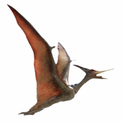 Imagens png de pterossauros