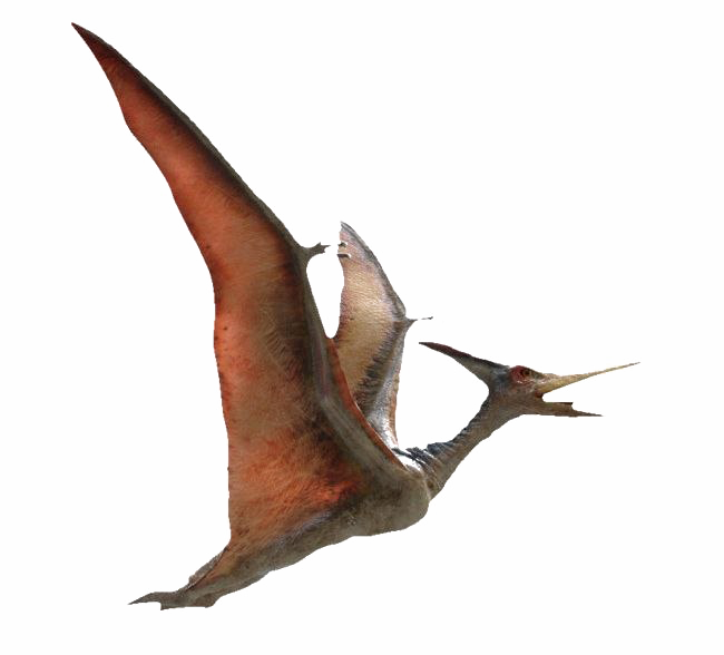 Pterosaurs PNG Images