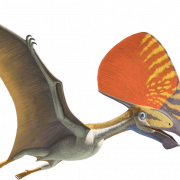Pterossauros transparentes