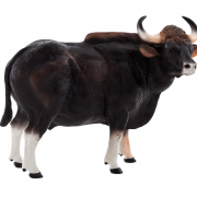 Real Bison PNG Free Image