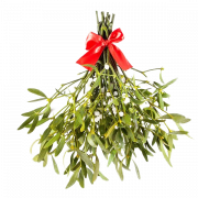 Real Mistletoe PNG Libreng Pag -download