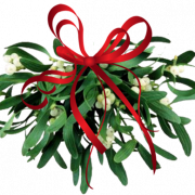 Real Mistletoe PNG Picture