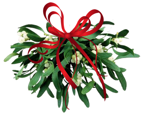Real Mistletoe PNG Picture