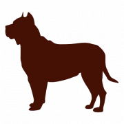Rottweiler Dog Png
