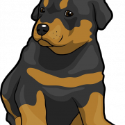 Rottweiler Dog PNG -afbeelding