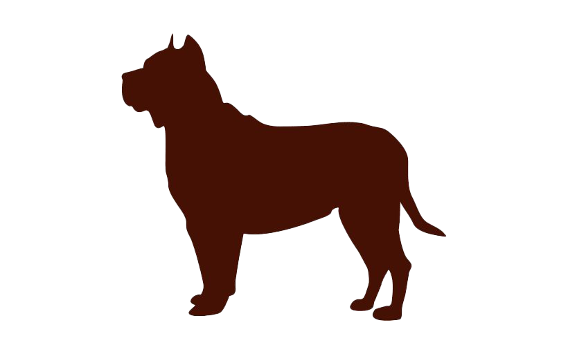 Rottweiler Dog PNG