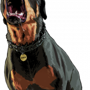 Rottweiler png gratis afbeelding