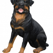 Rottweiler png png