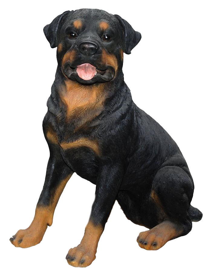 Rottweiler PNG Pic