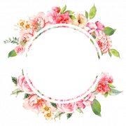 Image PNG du cadre de fleur rond