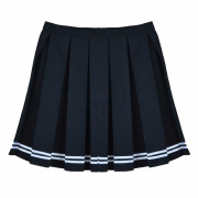 Short Skirt Transparent