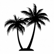 Silhouette Coconut Tree PNG