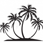 Silhouette Coconut Tree PNG Image