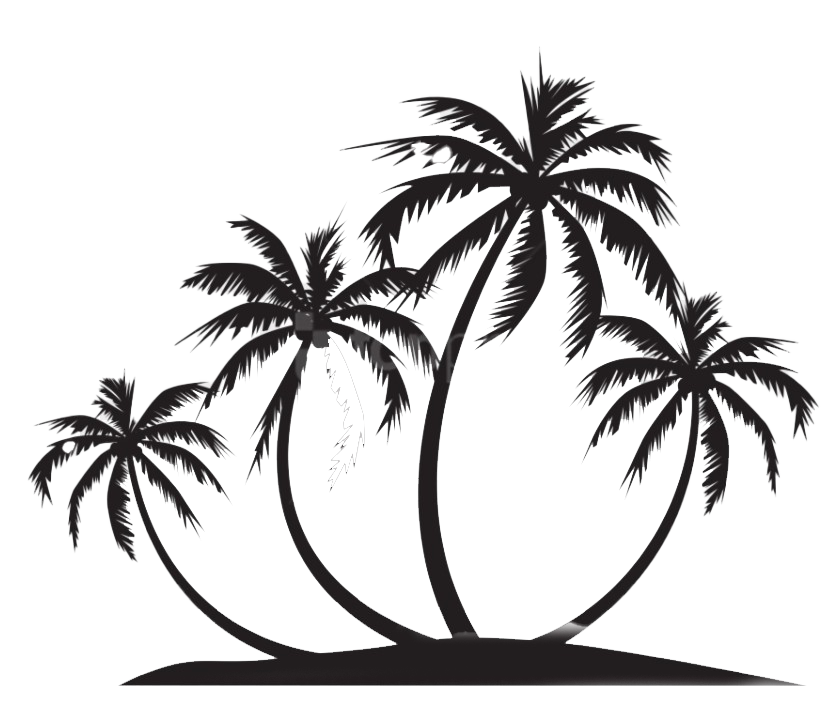 Silhouette Coconut Tree PNG Image