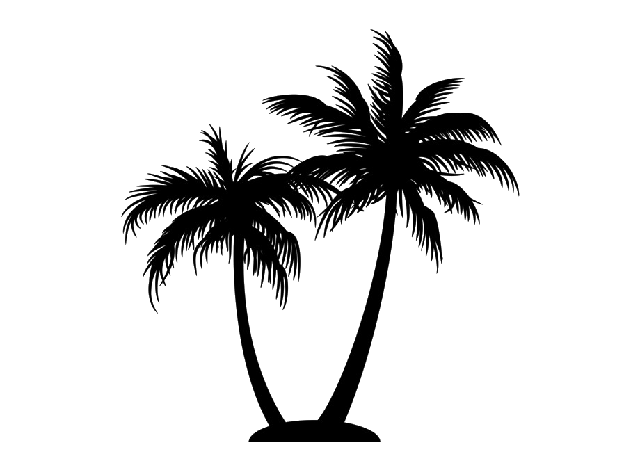 Silhouette Coconut Tree PNG