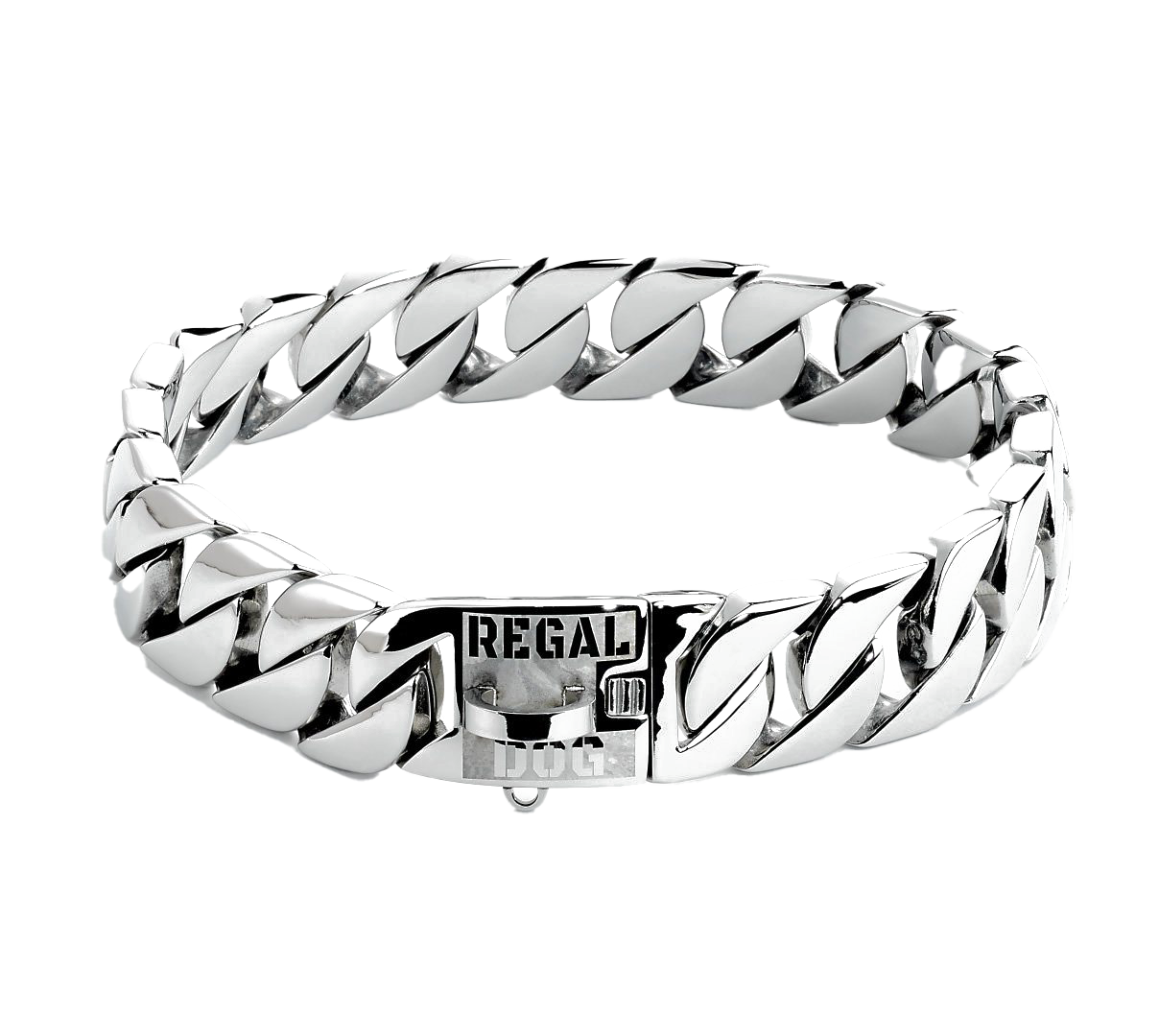 Silver Dog Chain PNG Pic