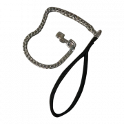 Silver Dog Chain PNG Picture