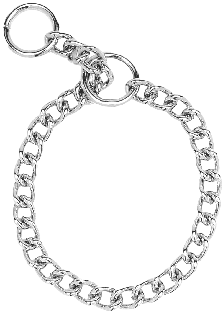 Silver Dog Chain PNG