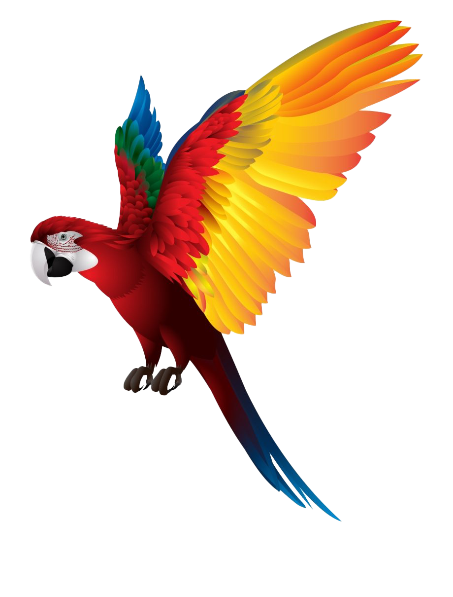 Single Flying Bird Png Clipart