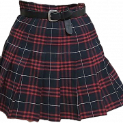 Skirt PNG Image
