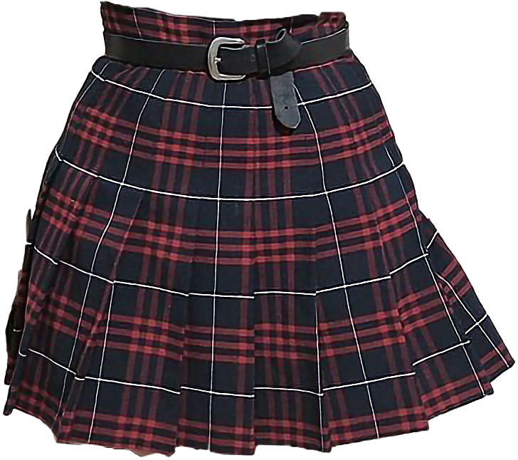 Skirt PNG Image