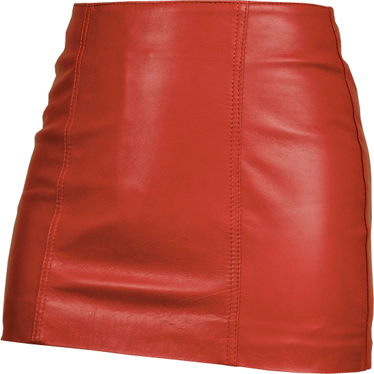 Skirt PNG Pic