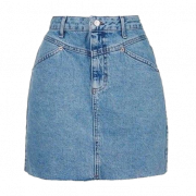 Skirt Transparent