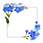Image PNG du cadre de fleurs carrés