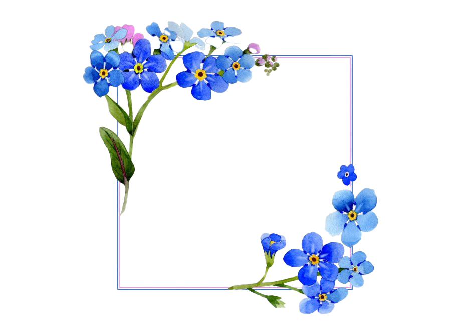 Marco de flores PNG transparente - PNG All