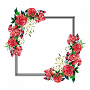 Cadre de fleur carrée png pic