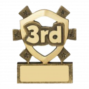Third Place Trophy PNG Pic