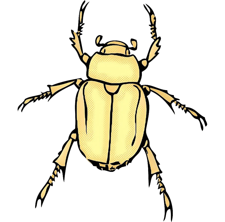 True Bug Insect PNG Free Image