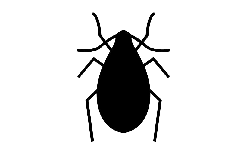 True Bug Insect PNG Picture