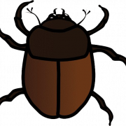 Echte bug png pic