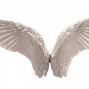 Witte vleugels PNG