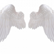 Weiße Flügel PNG Clipart