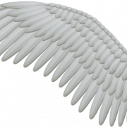 Weiße Wings PNG Bild herunterladen Bild